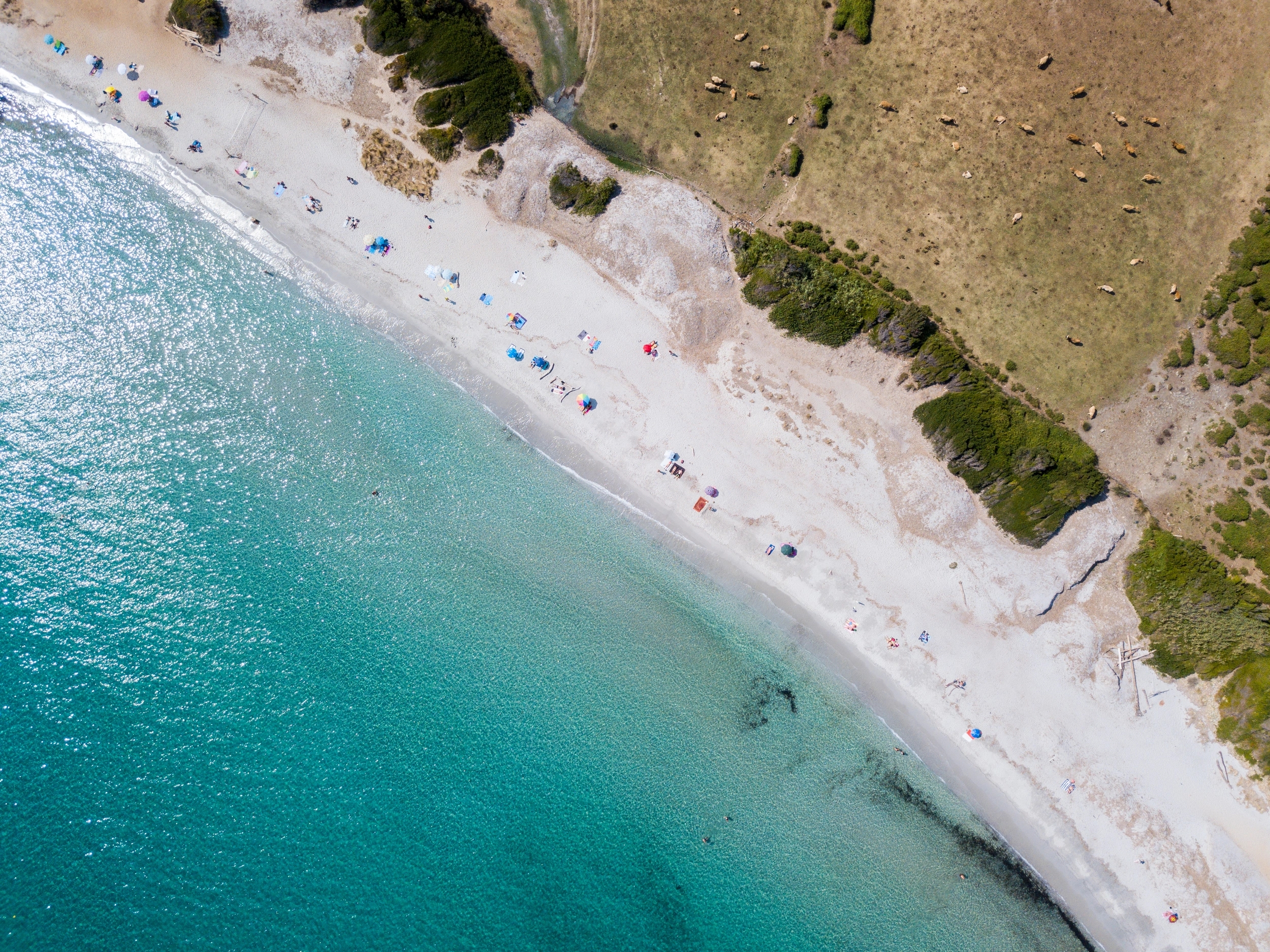 Activités nautiques dans le Cap Corse